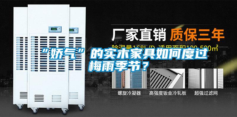 “嬌氣”的實木家具如何度過梅雨季節(jié)？