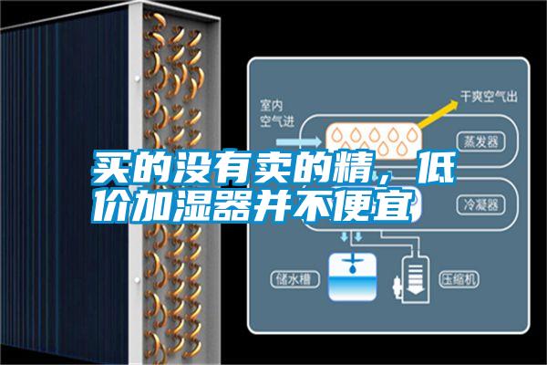 買的沒有賣的精，低價(jià)加濕器并不便宜