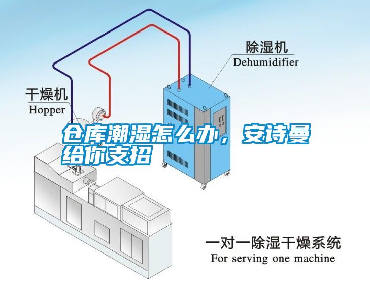 倉庫潮濕怎么辦，安詩曼給你支招