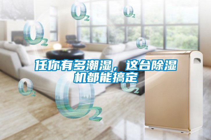 任你有多潮濕，這臺(tái)除濕機(jī)都能搞定