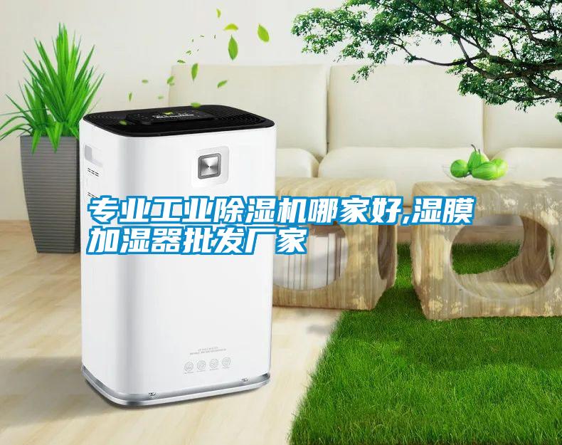 專(zhuān)業(yè)工業(yè)除濕機(jī)哪家好,濕膜加濕器批發(fā)廠家