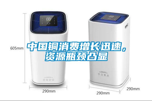 中國銅消費(fèi)增長迅速，資源瓶頸凸顯