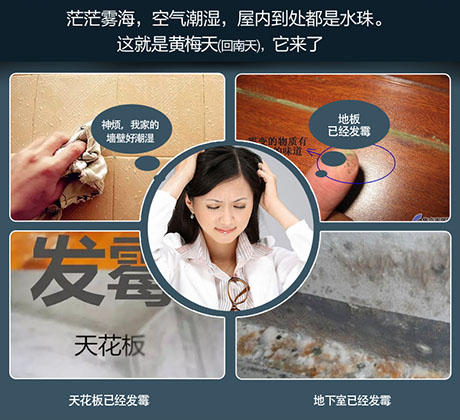 家庭別墅的地下室、衛(wèi)生間、儲(chǔ)物室等該如何除濕？