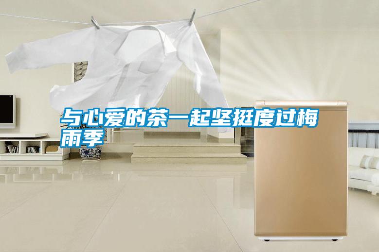 與心愛的茶一起堅(jiān)挺度過(guò)梅雨季
