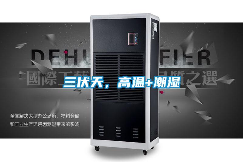 三伏天，高溫+潮濕