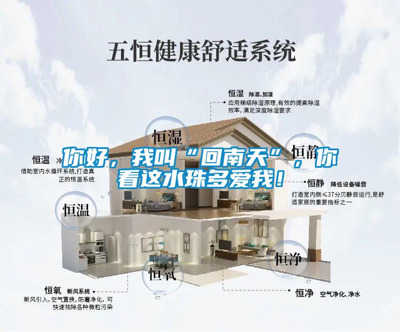 你好，我叫“回南天”，你看這水珠多愛我！