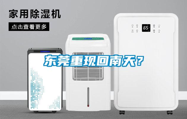 東莞重現(xiàn)回南天？