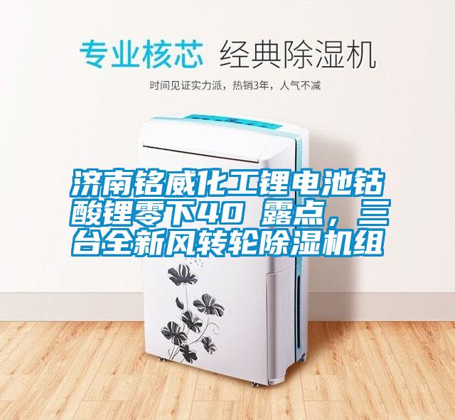 濟(jì)南銘威化工鋰電池鈷酸鋰零下40℃露點(diǎn)，三臺(tái)全新風(fēng)轉(zhuǎn)輪除濕機(jī)組