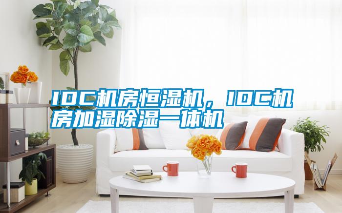IDC機(jī)房恒濕機(jī)，IDC機(jī)房加濕除濕一體機(jī)