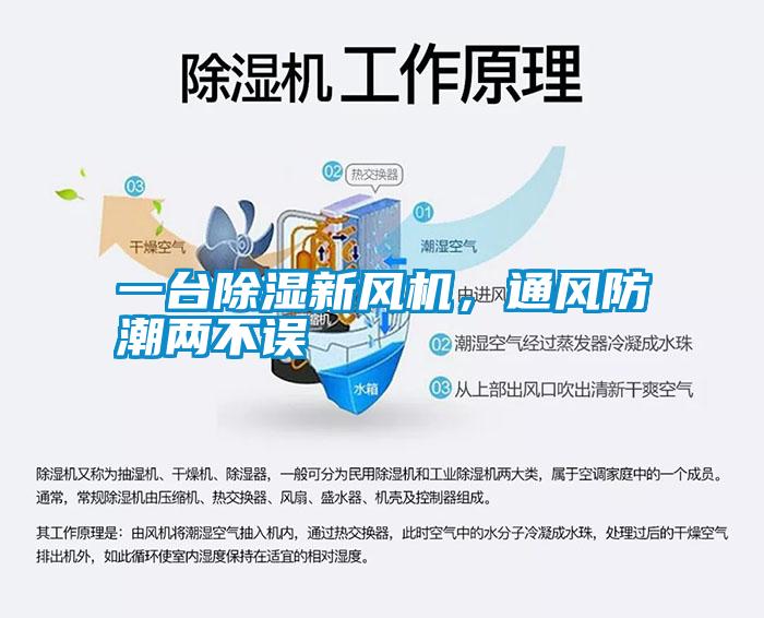 一臺除濕新風(fēng)機，通風(fēng)防潮兩不誤