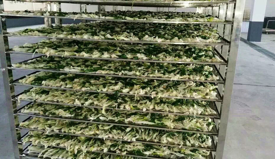 菜干需求一直都很大，蔬菜烘干機(jī)很有市場