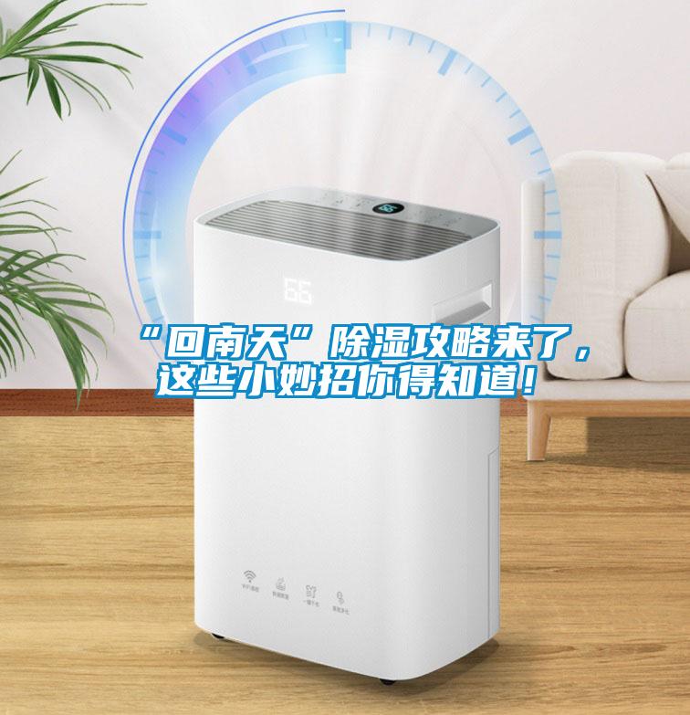 “回南天”除濕攻略來了，這些小妙招你得知道！