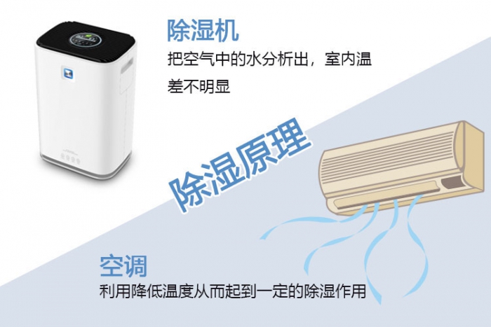 使用除濕機對于哮喘有什么幫助？