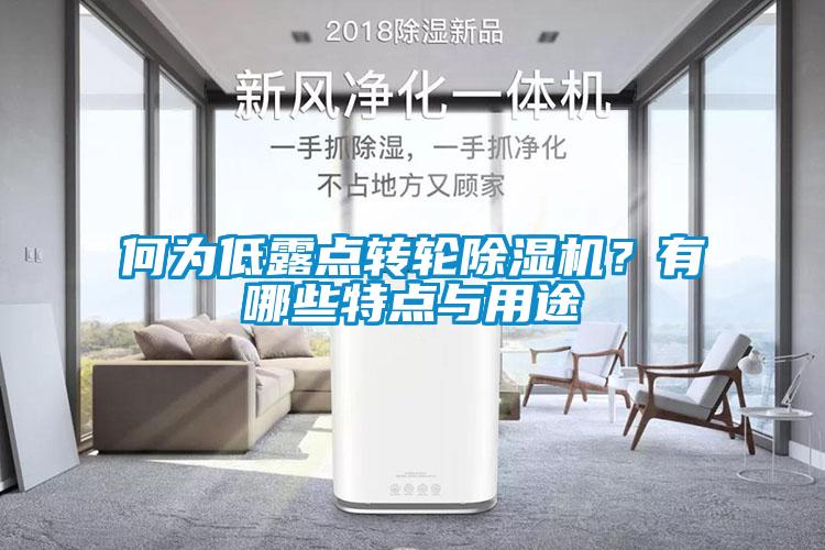 何為低露點(diǎn)轉(zhuǎn)輪除濕機(jī)？有哪些特點(diǎn)與用途