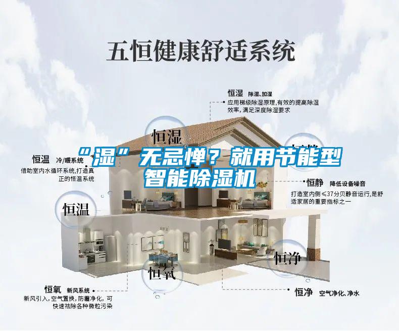 “濕”無忌憚？就用節(jié)能型智能除濕機