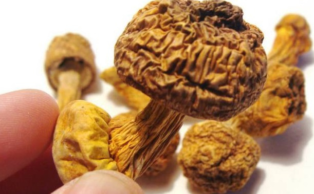 巴西菇、姬松茸烘干機(jī)-怎樣烘干色澤好且菇體褶片完整？