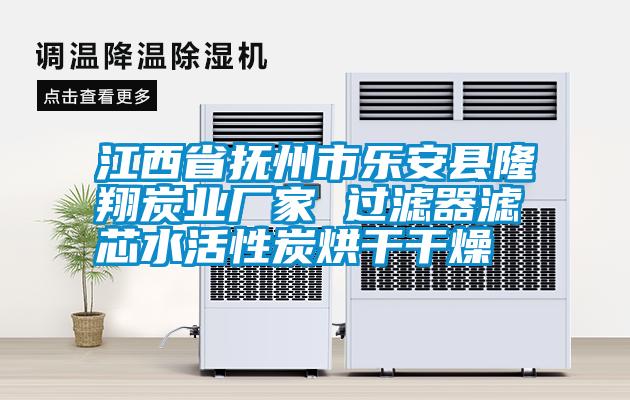 江西省撫州市樂(lè)安縣隆翔炭業(yè)廠家 過(guò)濾器濾芯水活性炭烘干干燥