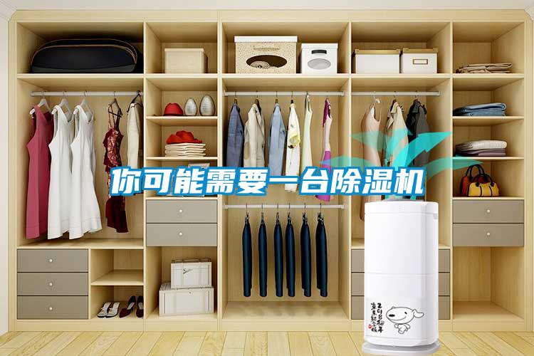 你可能需要一臺除濕機(jī)