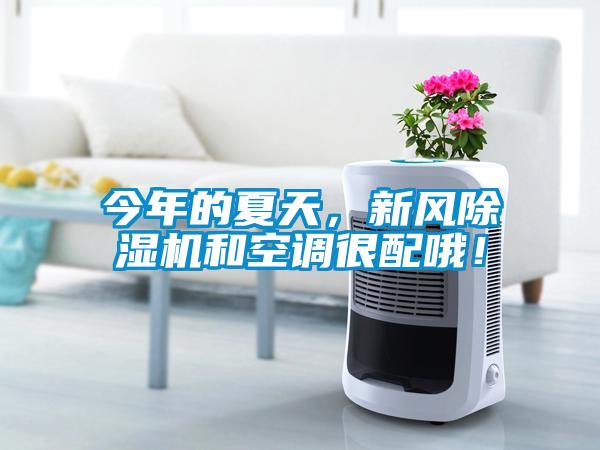 今年的夏天，新風(fēng)除濕機(jī)和空調(diào)很配哦！