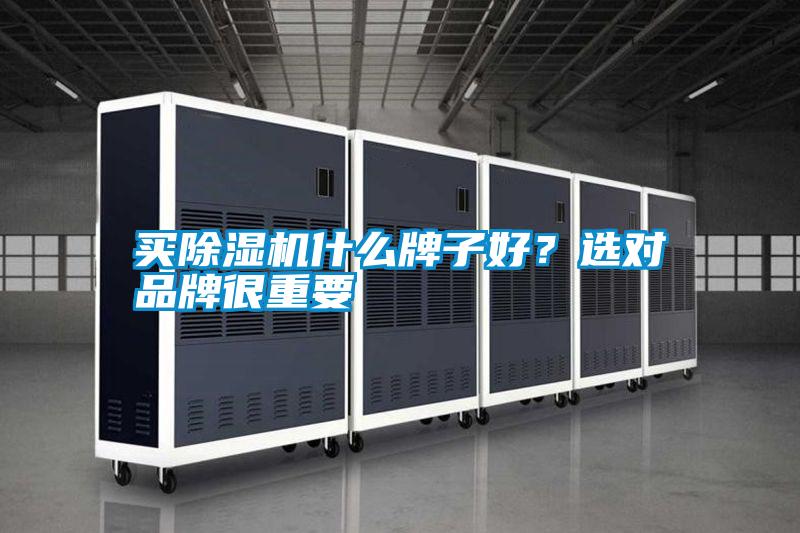 買除濕機(jī)什么牌子好？選對(duì)品牌很重要