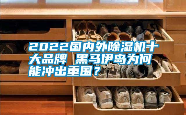 2022國內(nèi)外除濕機十大品牌 黑馬伊島為何能沖出重圍？