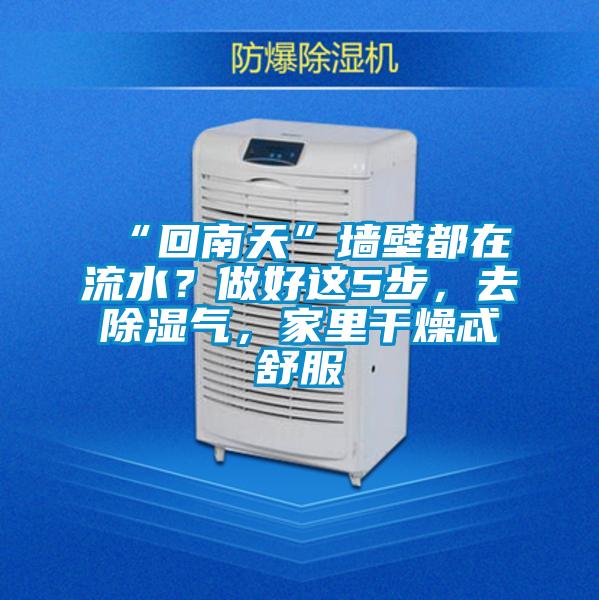 “回南天”墻壁都在流水？做好這5步，去除濕氣，家里干燥忒舒服