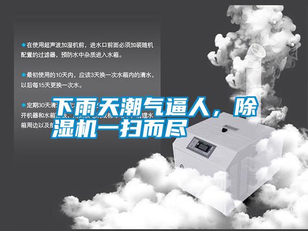 下雨天潮氣逼人，除濕機一掃而盡