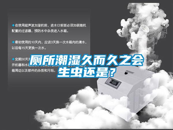 廁所潮濕久而久之會生蟲還是？