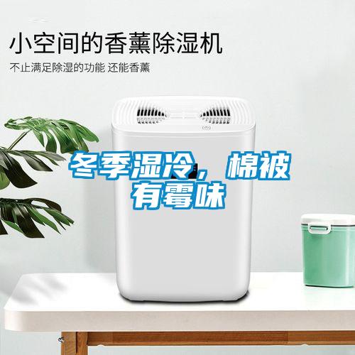 冬季濕冷，棉被有霉味
