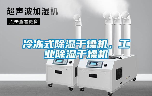 冷凍式除濕干燥機，工業(yè)除濕干燥機