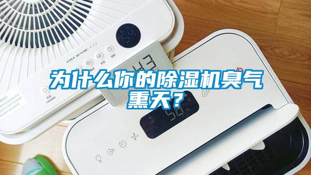 為什么你的除濕機(jī)臭氣熏天？