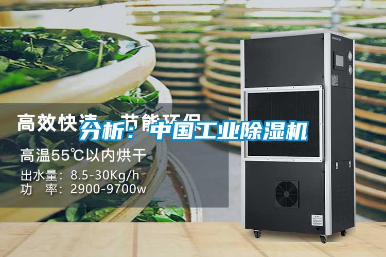 分析：中國工業(yè)除濕機(jī)