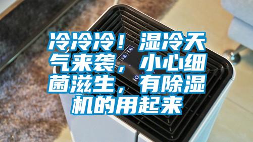 冷冷冷！濕冷天氣來襲，小心細菌滋生，有除濕機的用起來