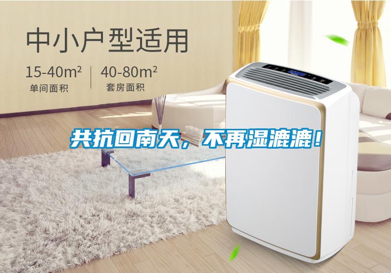 共抗回南天，不再濕漉漉！