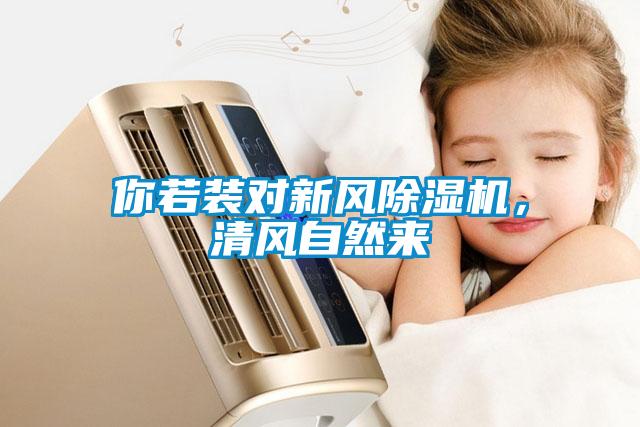 你若裝對新風除濕機，清風自然來