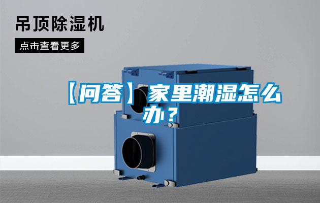 【問(wèn)答】家里潮濕怎么辦？