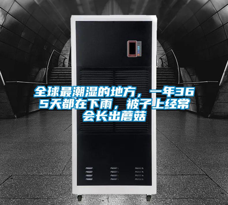 全球最潮濕的地方，一年365天都在下雨，被子上經(jīng)常會(huì)長(zhǎng)出蘑菇