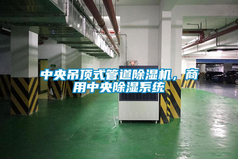 中央吊頂式管道除濕機，商用中央除濕系統(tǒng)