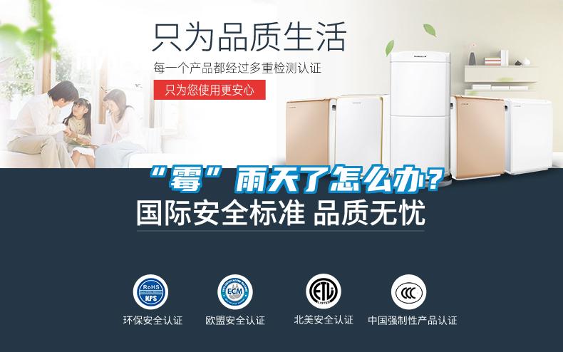 “霉”雨天了怎么辦？