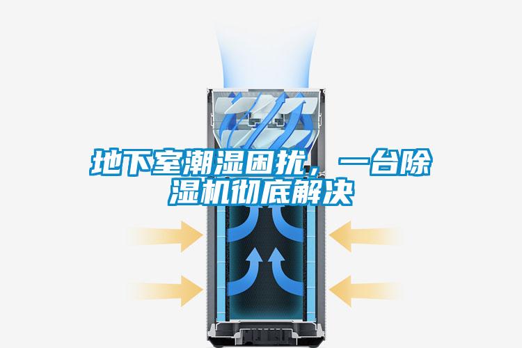 地下室潮濕困擾，一臺(tái)除濕機(jī)徹底解決