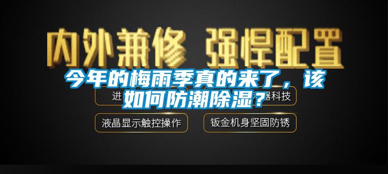 今年的梅雨季真的來(lái)了，該如何防潮除濕？