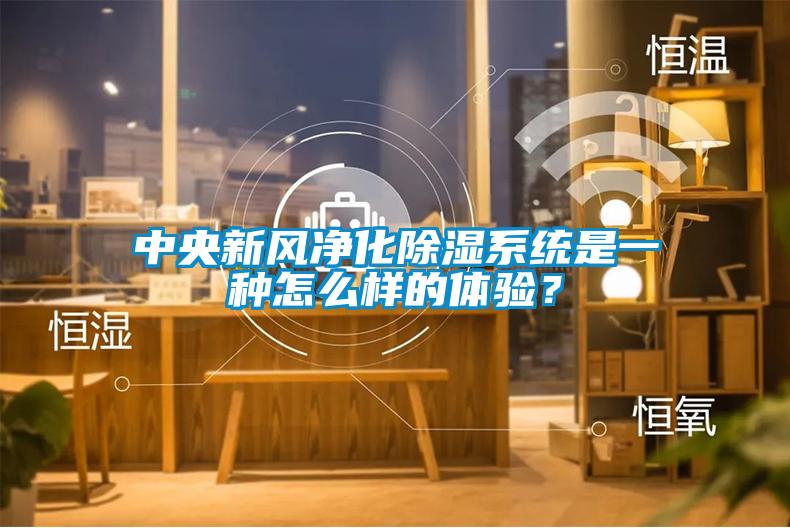 中央新風(fēng)凈化除濕系統(tǒng)是一種怎么樣的體驗(yàn)？