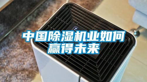 中國除濕機業(yè)如何贏得未來