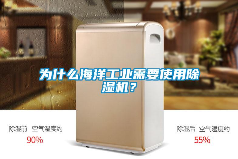 為什么海洋工業(yè)需要使用除濕機？