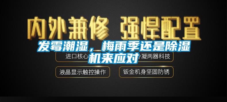 發(fā)霉潮濕，梅雨季還是除濕機來應對