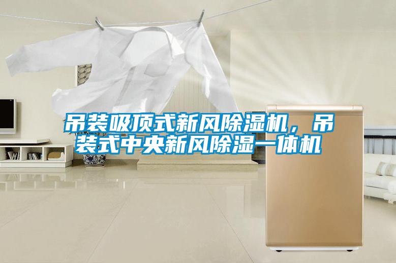 吊裝吸頂式新風除濕機，吊裝式中央新風除濕一體機