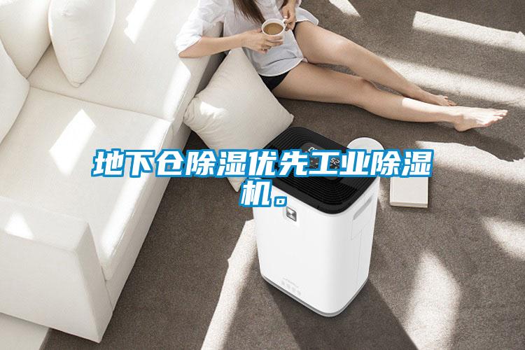 地下倉除濕優(yōu)先工業(yè)除濕機(jī)。