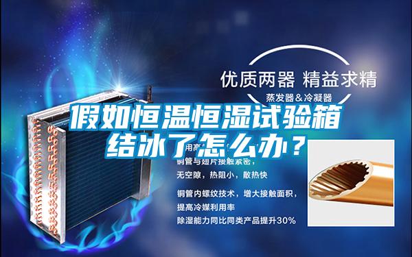 假如恒溫恒濕試驗(yàn)箱結(jié)冰了怎么辦？