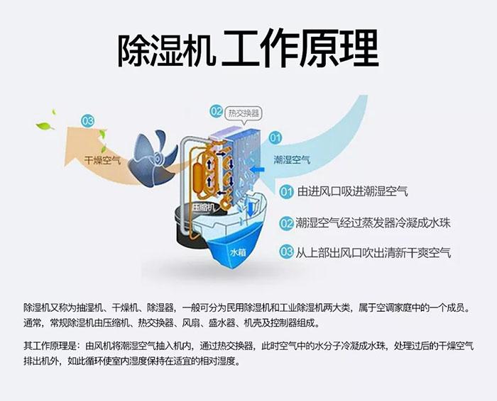冷庫消毒用什么好？冷庫霧化消毒機
