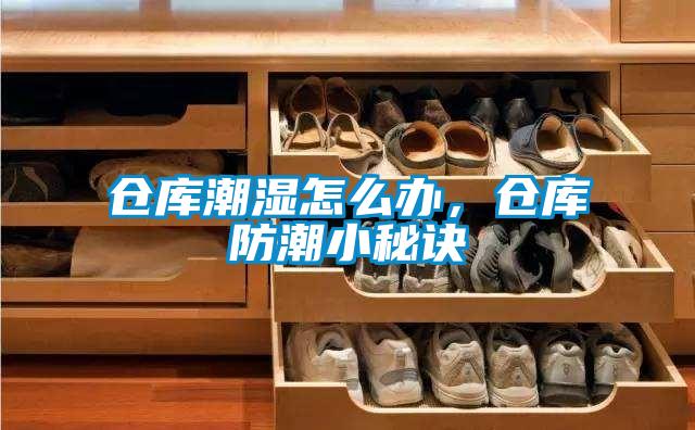 倉庫潮濕怎么辦，倉庫防潮小秘訣